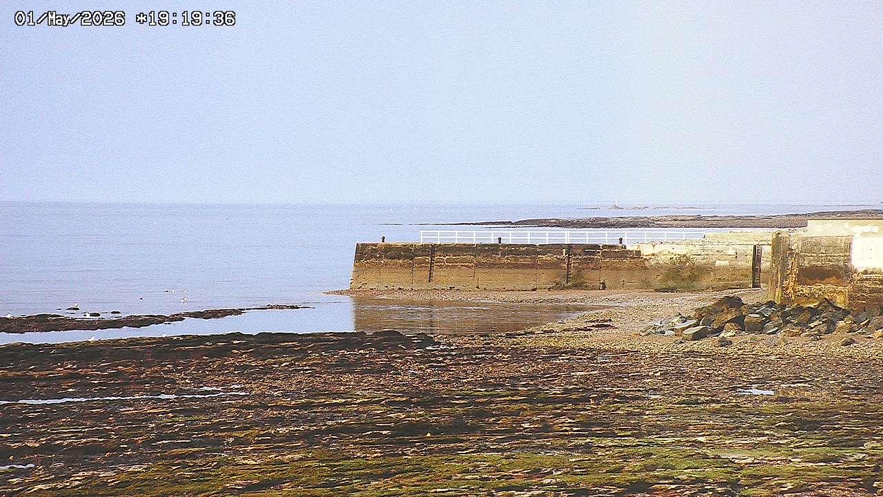 webcam 3