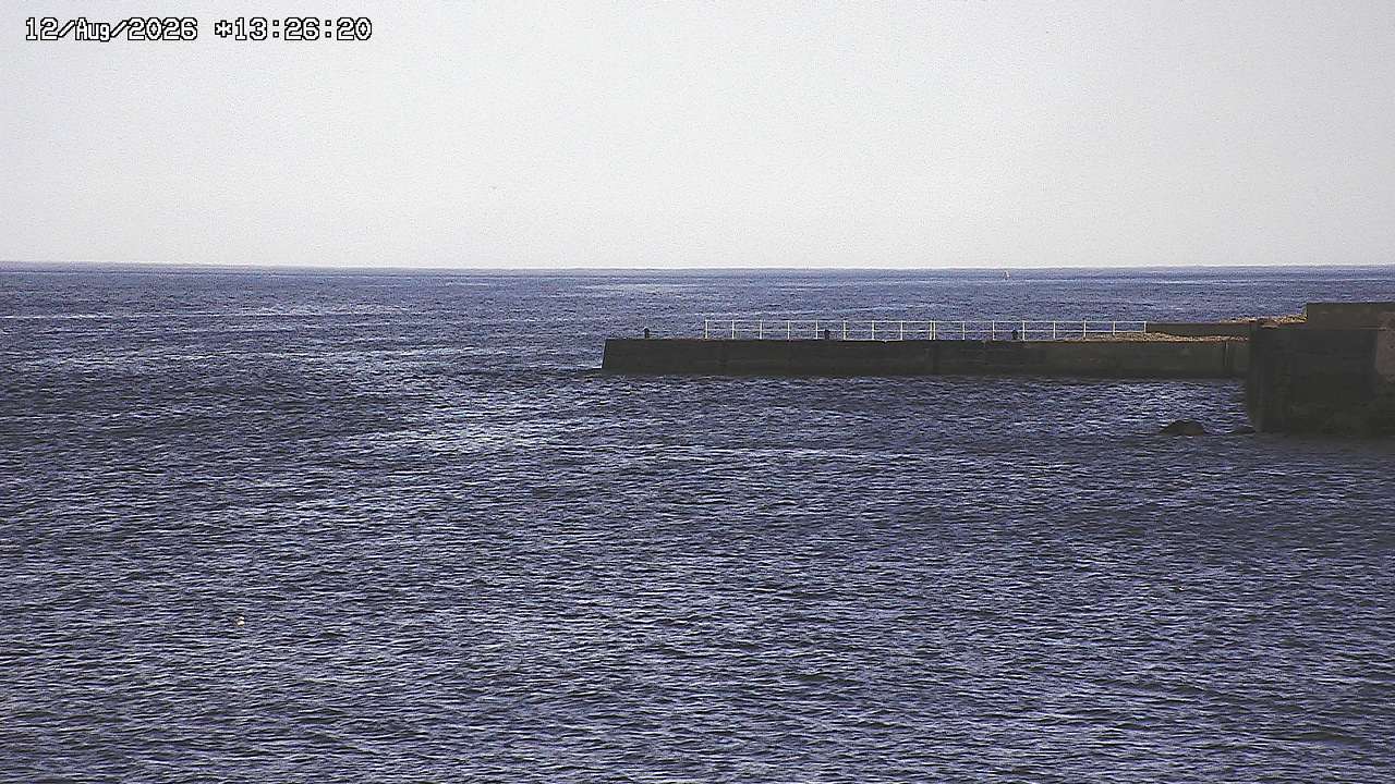 webcam 3