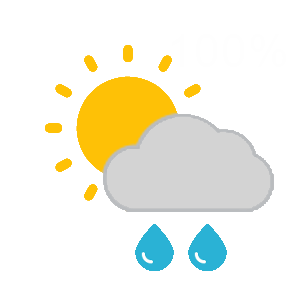 Cloudy, Light Rain Showers